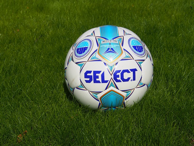 相信他俩将 相信他俩将