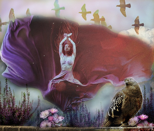 视角视频的 视角视频的