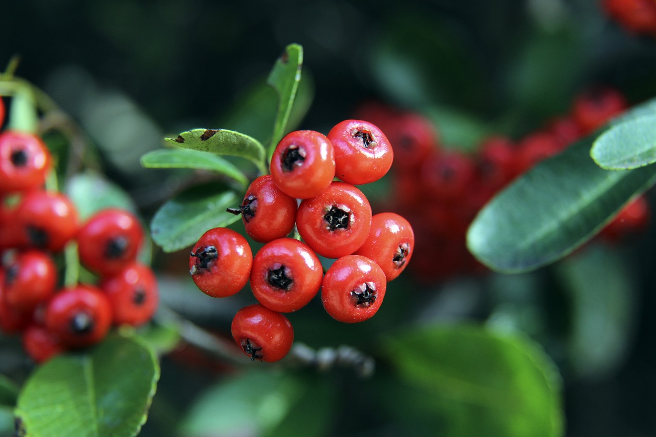 脱颖而出 脱颖而出