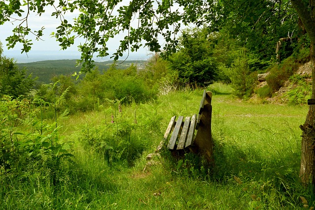 打服了对手，雷霆队亚历山大获得哈利伯顿“毫无疑问”的 MVP 提名.