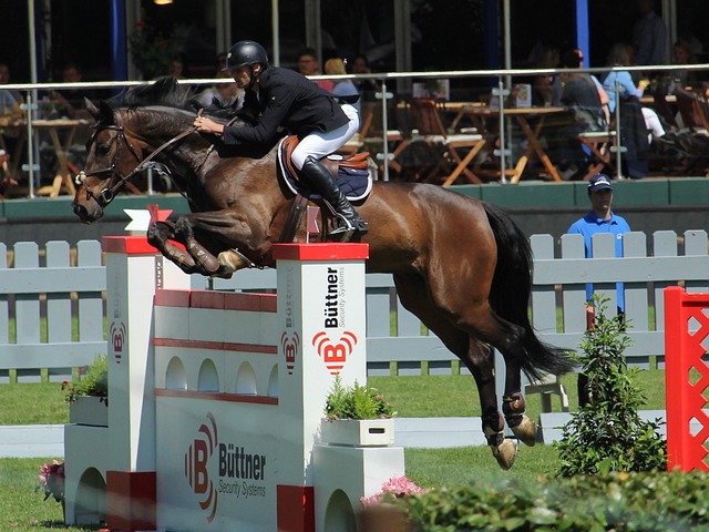 胜利成为必 胜利成为必