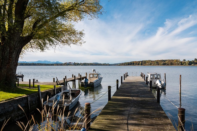 具体案例 具体案例