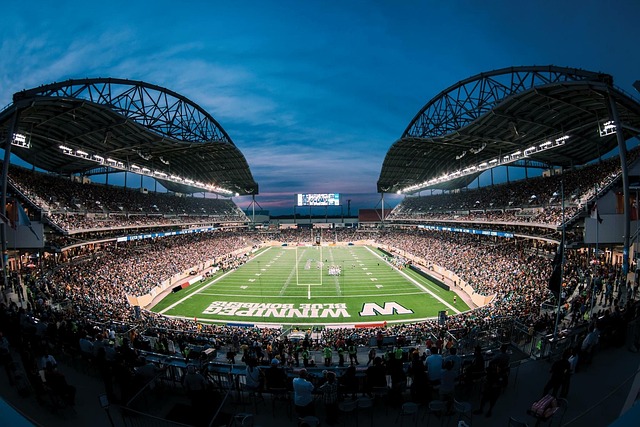 一種成熟的 一種成熟的